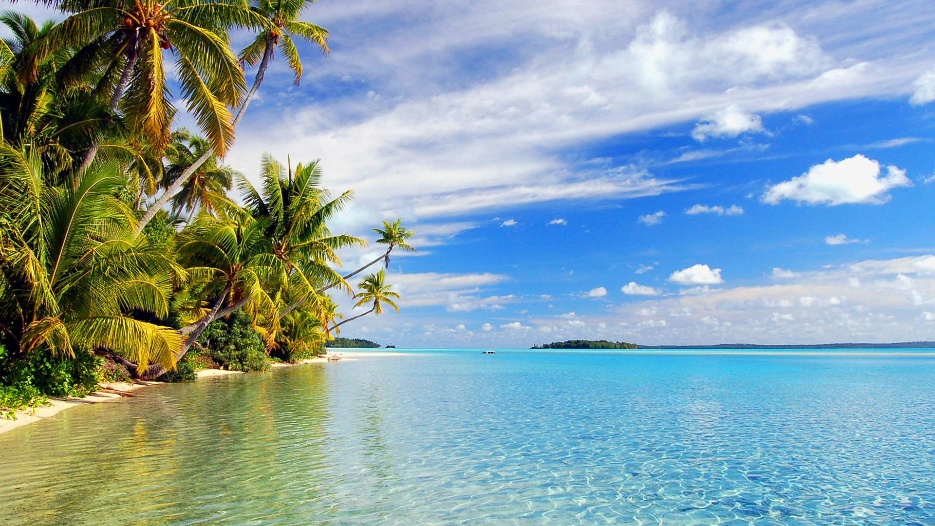 playa hawaii